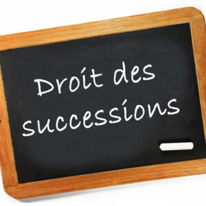 LIVRET ou SUPPORT de présentation du Rapport successoral et de la Réduction (restitutions) avec notamment 4 dossiers sous forme de cas pratiques illustratifs